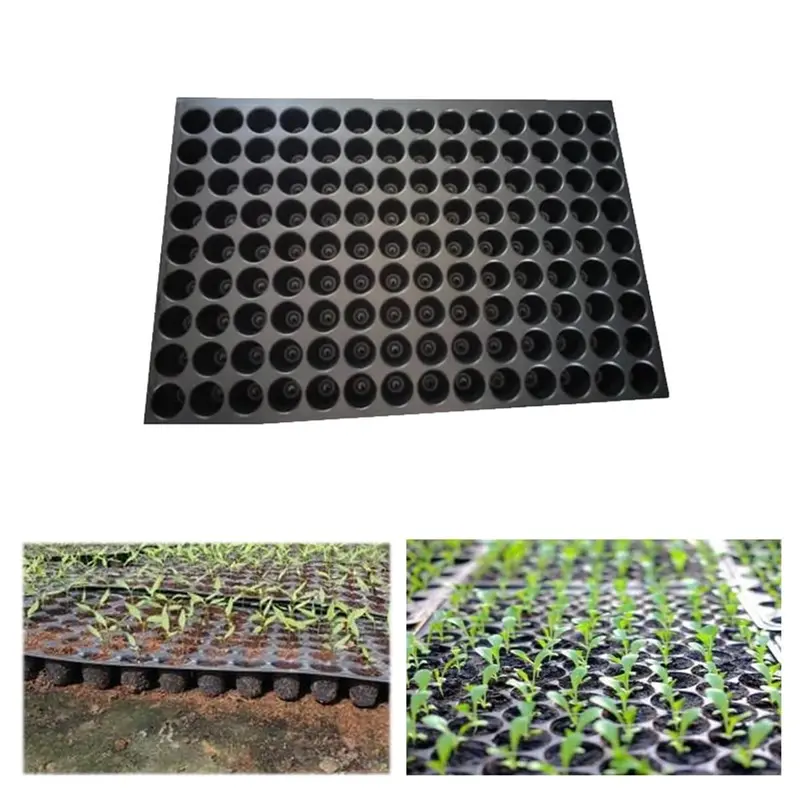 Siddhi 126 Cavities (Round Shape) Reusable Plastic Seedling Tray for Nursery and Gardening